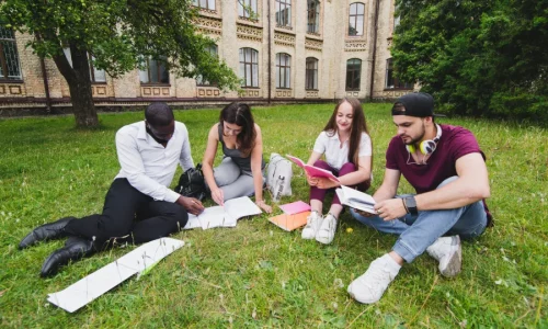 Kursvorschaubild